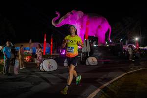 BIB: 
                            <button type="button" onclick="openModal(26552240)" class="btn btn-primary btn-sm float-right btn-popup" data-toggle="modal" data-target=".modal-high-quality">
                        <i class="fas fa-shopping-cart"></i> Add to Cart
                    </button>
                                            <button type="button" onclick="isThisMe(26552240, true)" class="btn btn-success btn-sm float-right btn-popup btn-isme hidden" data-toggle="tooltip" data-placement="bottom" title="นี่คือรูปของคุณใช่ไหม คลิกที่นี่เพื่อเอาเข้าอัลบั้ม">
                        <i class="fas fa-plus"></i> Add to album
                    </button>
                    <button type="button" onclick="isThisMe(26552240, false)" class="btn btn-warning btn-sm float-right btn-popup btn-isnotme hidden">
                        <i class="fas fa-ban"></i> Remove from album
                    </button>